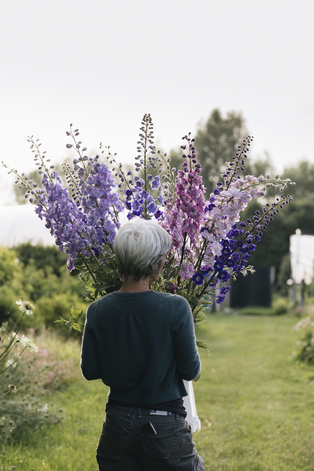 1D7A9162-2rae delphs flower club