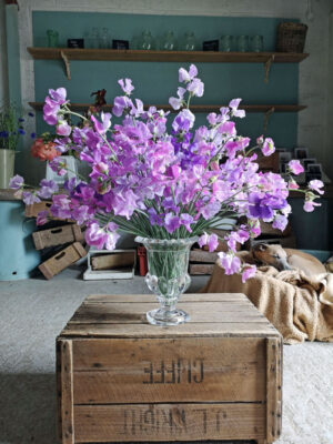 Sweet Peas