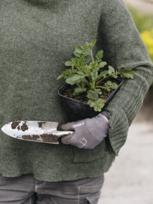 Propagation Masterclass
