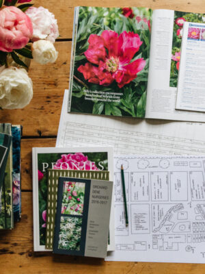 Classes & Workshops