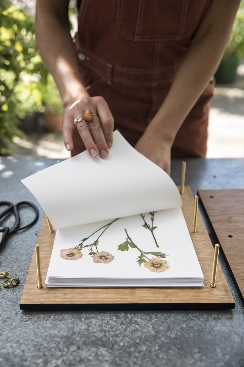 JamJar-Edit-flower-press-geums