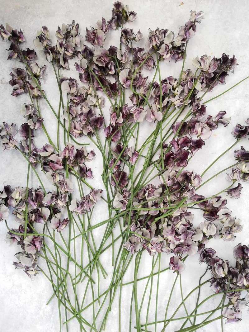 A Floral Review of 2019