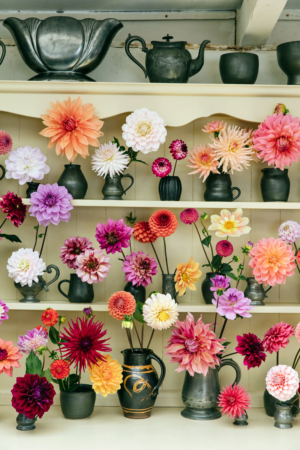 dahlia-dressersA0815