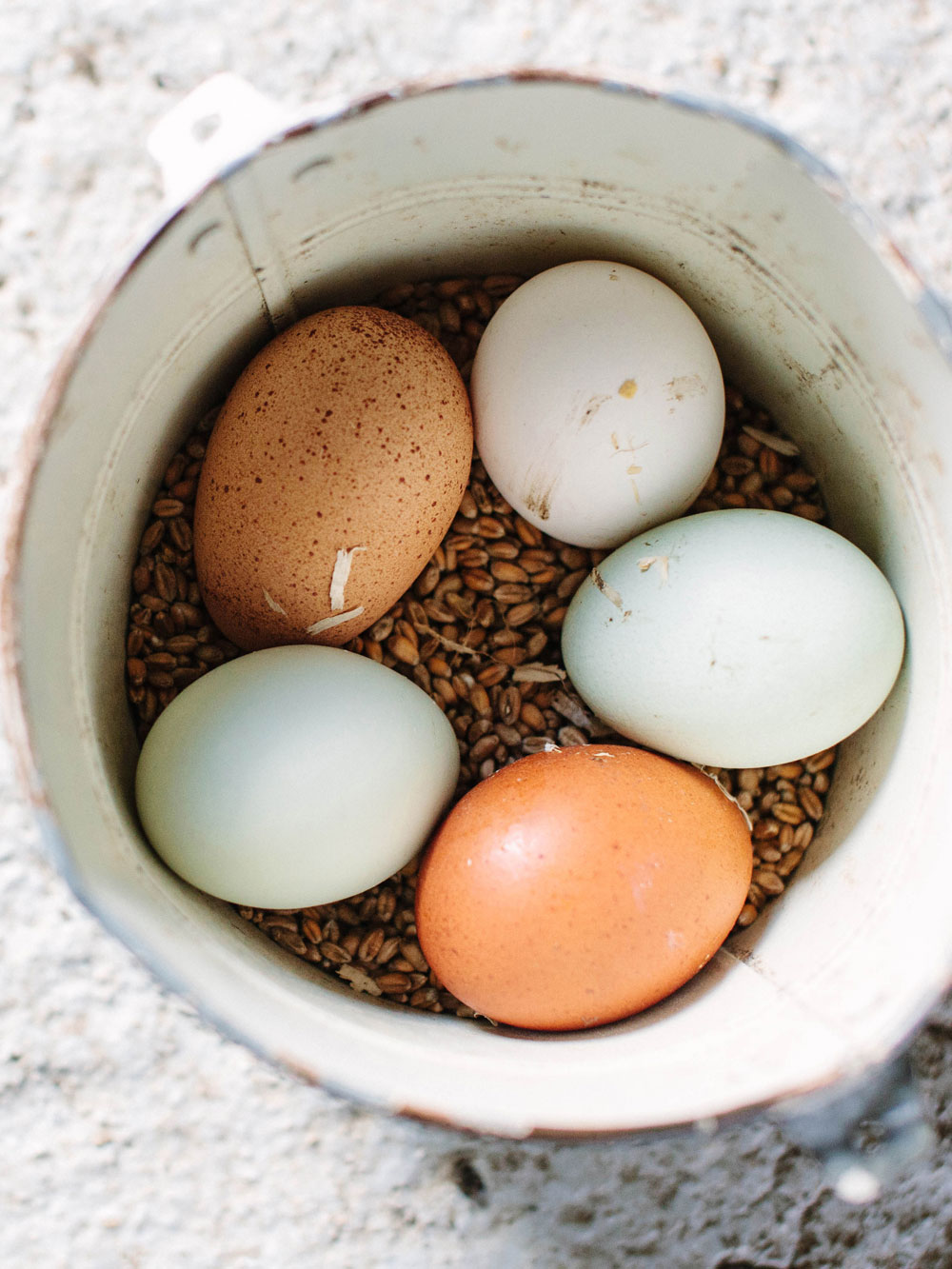 eggs-again-Green-&-Gorgeous---March---121