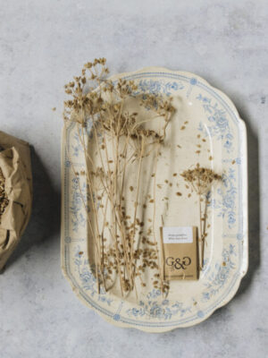 Seeds