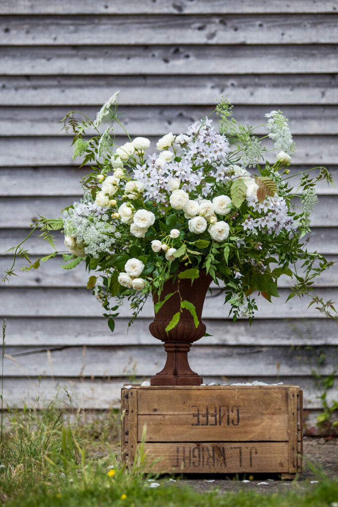 Green & Gorgeous - June 173