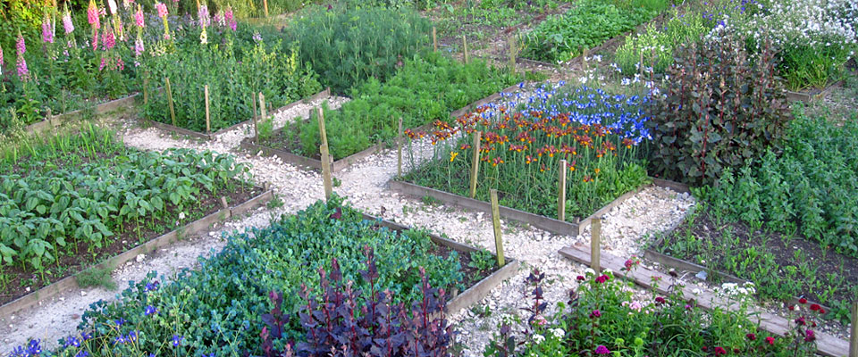 Picture of the Learning Garden