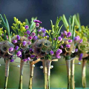 Corsage line up