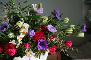 Ranunculus, Narcissi, Tulips