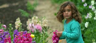 Child picking stocks