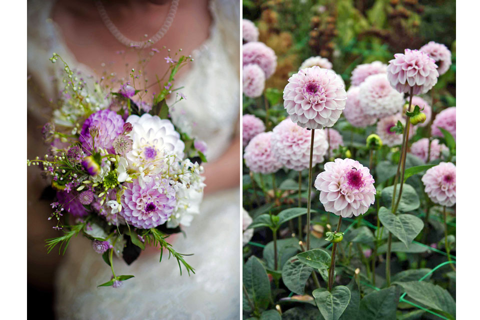 From border to bouquet, dahlias grown in Oxfordshire