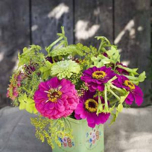 Zinnias in tin