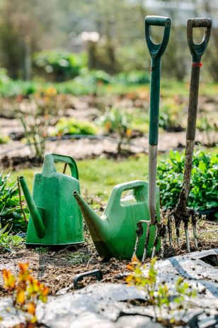 two border forks and 2 watering cans