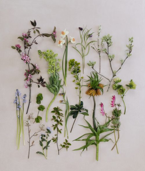 Grow Your Own Cut Flowers - Image 9