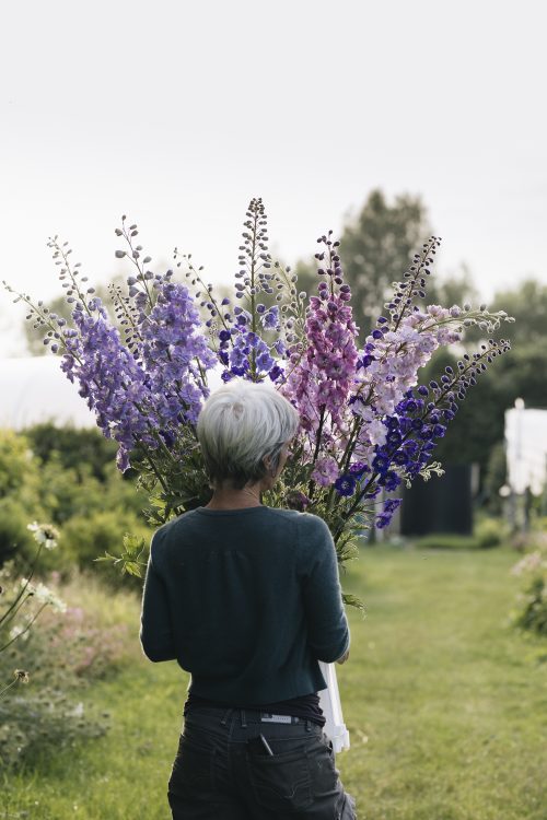 Flower Club - Image 6