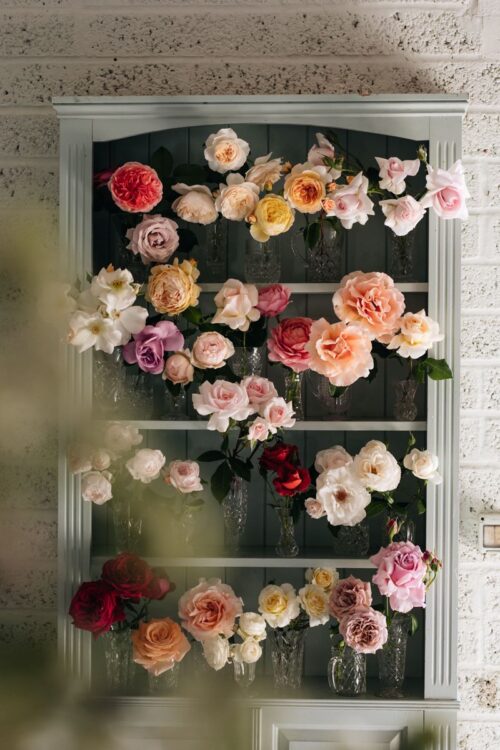 Garden to Vase - Roses - Image 11