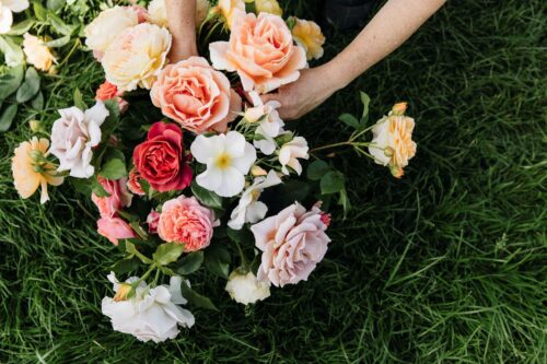 Garden to Vase - Roses