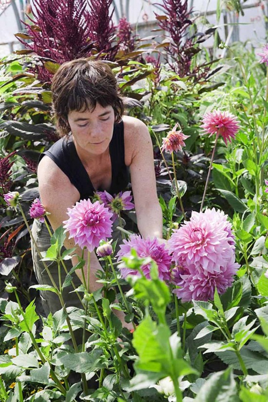 Green and Gorgeous, an ethical flower company which grows, arranges and sells locally grown flowers.