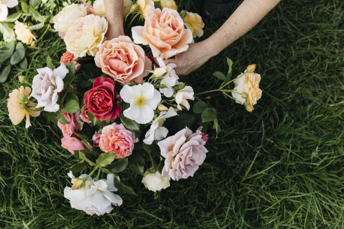 Flower Club - Image 12