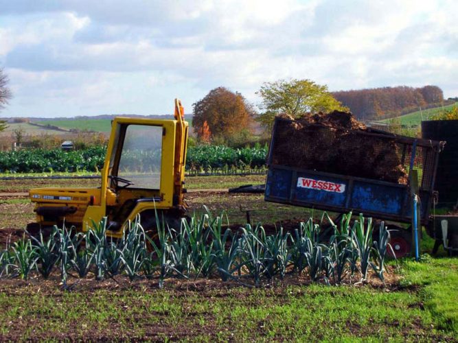 yellow-tractor-logo