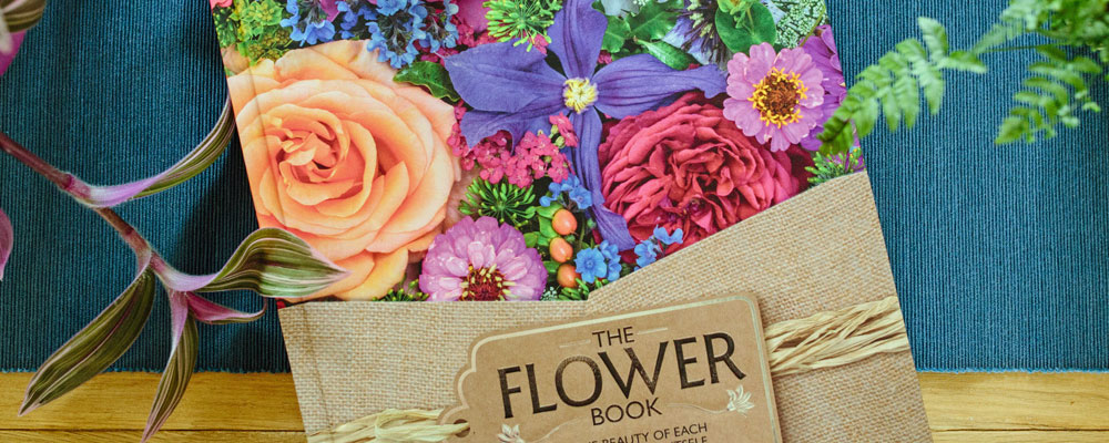 The Flower Book by Rachel Siegfried