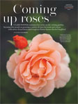 Rose article House & Garden