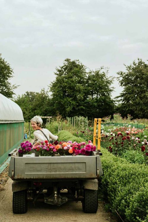Flower Farming through the Seasons - Image 2