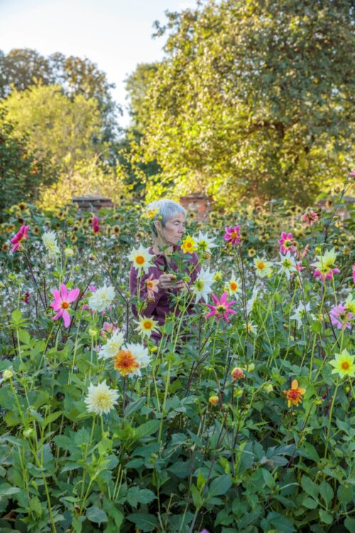 Flower Farming through the Seasons - Image 19