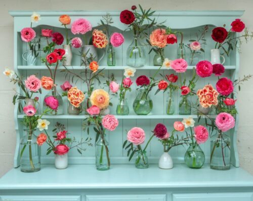 Garden to Vase - Ranunculus - Image 21