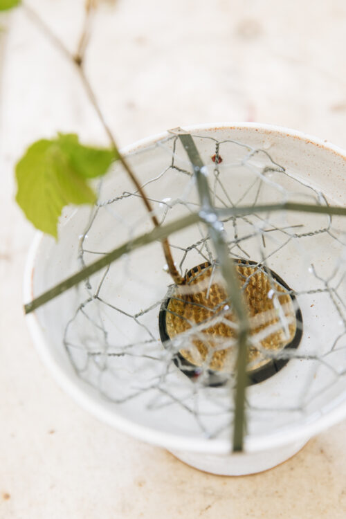 Garden to Vase - Ranunculus - Image 19