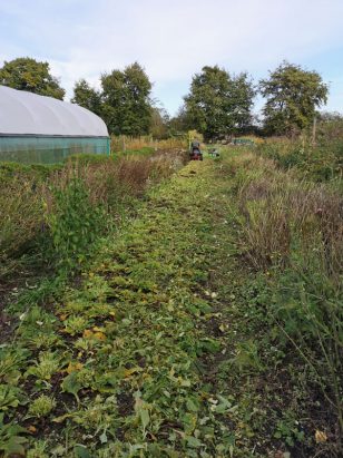 Ride on mower clearing