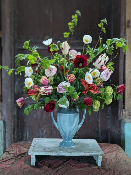 Garden to Vase - Ranunculus - Image 12