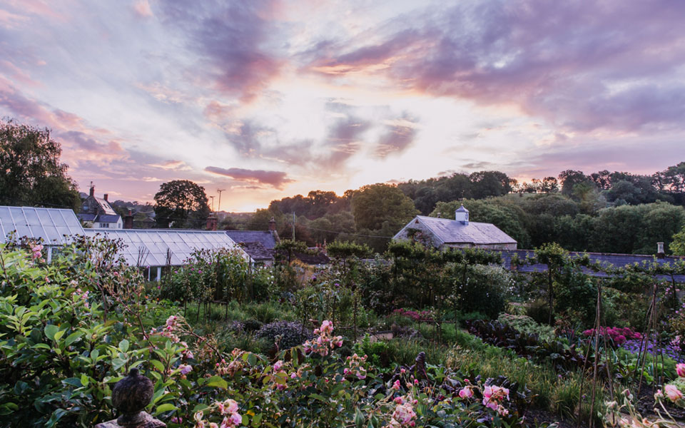 Garden photography by Eva Nemeth