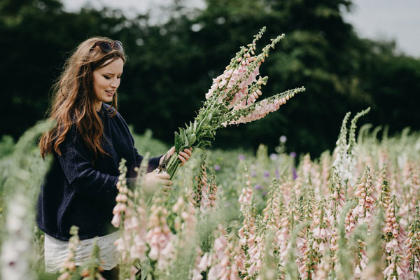 Picking foxgloves, pic by Eva Nemeth