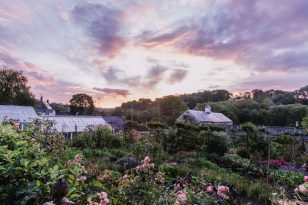 Sunrise garden shot by Eva Nemeth