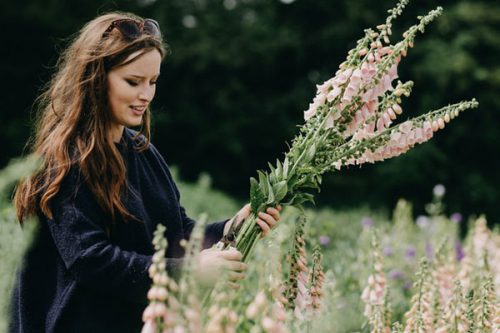 Flowers for Florists