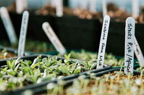 Propagation Masterclass - Image 11