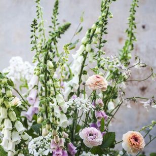 white foxglove