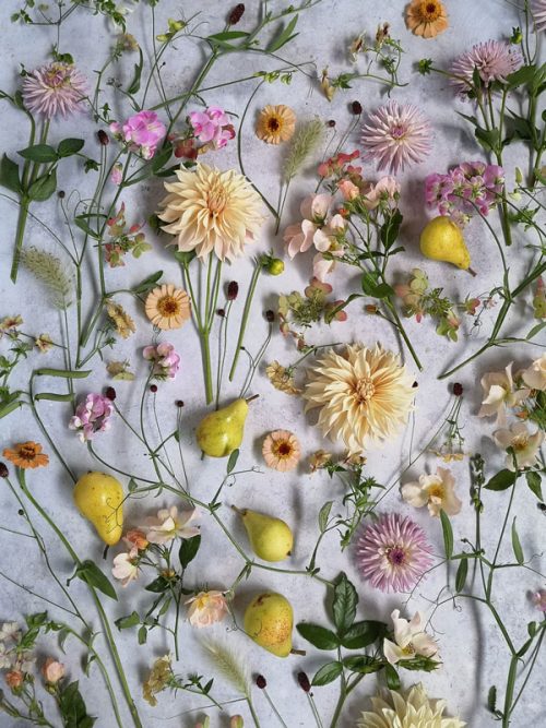 Garden and Flower Photography with Clive Nichols - Image 6