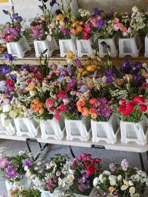Grow Your Own Cut Flowers - Image 11
