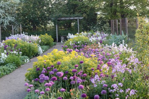 Garden to Vase - Spring Edition