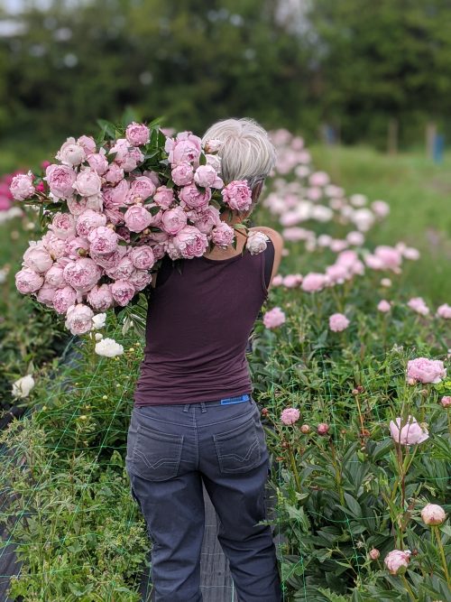 Flower Farming Masterclass - Summer - Image 9