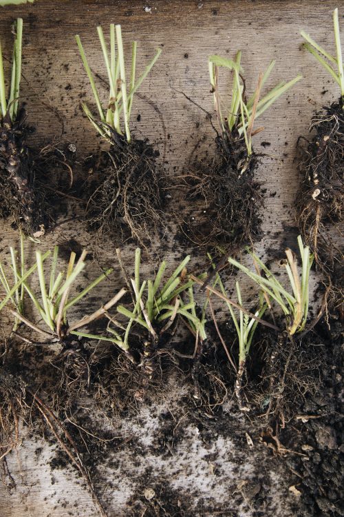 Propagation Masterclass - Image 16