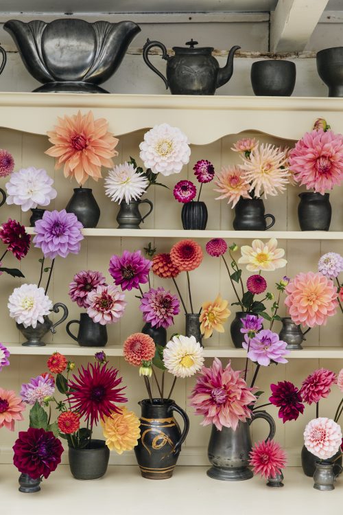 Flower Farming Masterclass - Autumn - Image 2