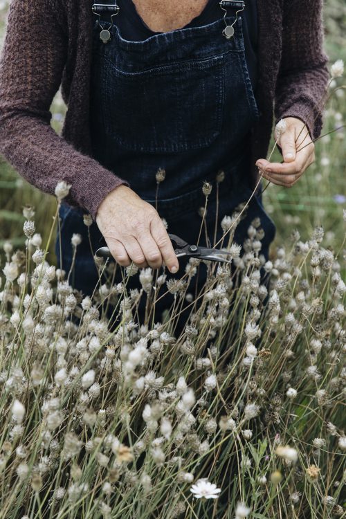 Flower Farming Masterclass - Autumn - Image 8