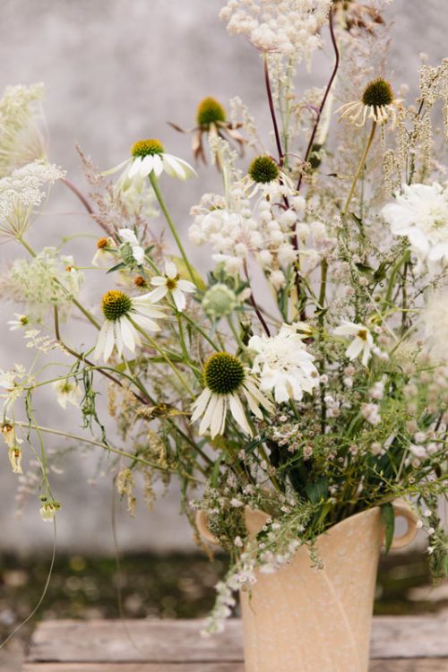 Inspiring Flower Photography with Éva Németh - Image 7