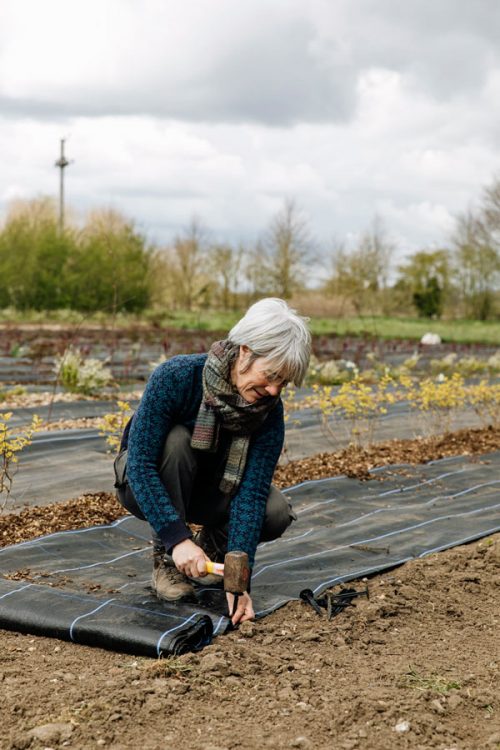 Flower Farming through the Seasons - Spring - Image 9
