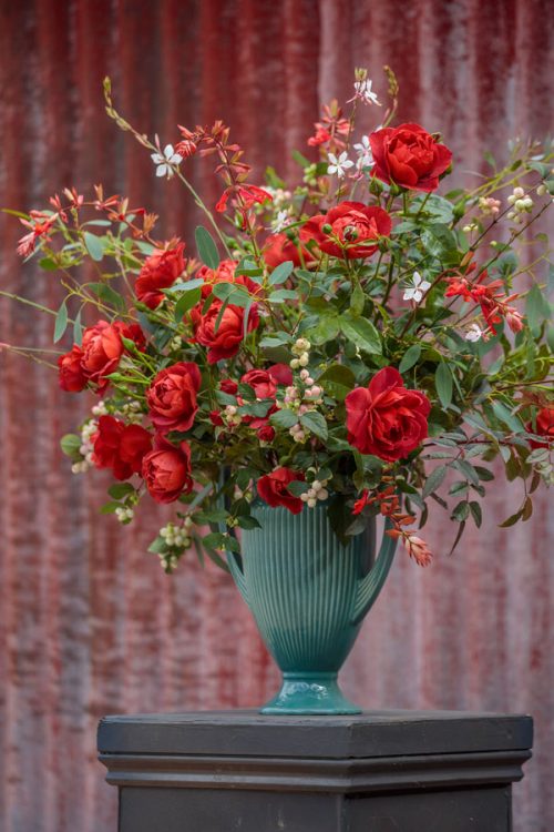 Garden and Flower Photography with Clive Nichols - Image 8