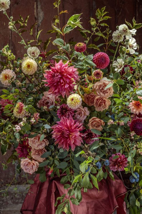 Garden and Flower Photography with Clive Nichols - Image 5