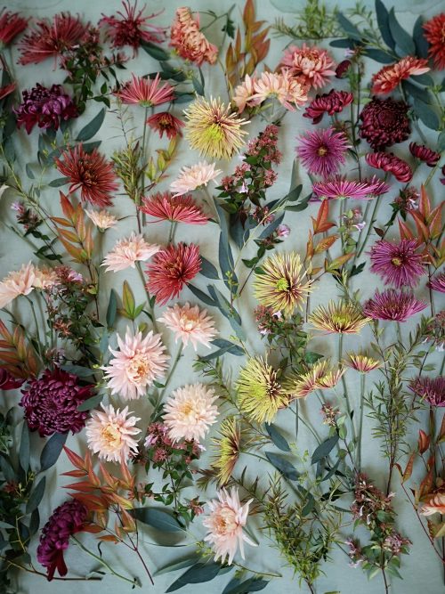 Garden and Flower Photography with Clive Nichols - Image 9